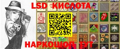 крисы Краснознаменск