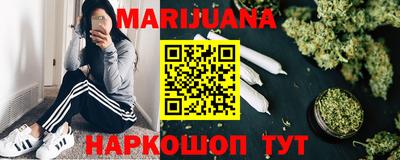 крисы Краснознаменск