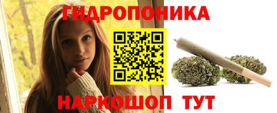 крисы Краснознаменск