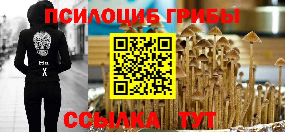 Кизилюрт  купить наркотики цена  Вход с VPN  Галлюциногенные грибы Psilocybine cubensis 